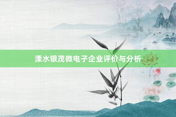 溧水银茂微电子企业评价与分析